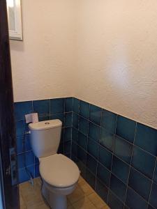 łazienka z białą toaletą i niebieskimi kafelkami w obiekcie Gîte la côte des bleuets de Retourtour w mieście Lamastre +37 zdjęć
