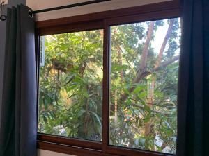 a window with a view of a tree at LE JACQUIER Appartements neufs vue mer ou jardin à Mamoudzou Hyper Centre in Mamoudzou