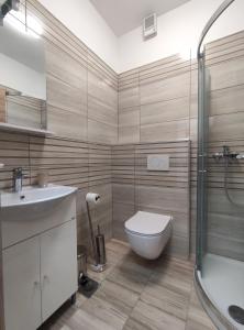 ein Bad mit einem WC, einem Waschbecken und einer Dusche in der Unterkunft Apartma Ana in Koper