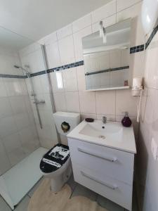 La salle de bains est pourvue de toilettes, d'un lavabo et d'une douche. dans l'établissement Maison villageoise, à Collombey