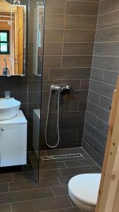 Koupelna v ubytování Cottage Ravna Rijeka + 36 fotografií