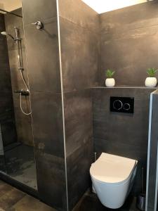 a bathroom with a shower stall and a toilet at Le Panima in Palavas-les-Flots