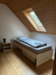 a bedroom with a bed with a skylight at Penzion Pláž in Slapy