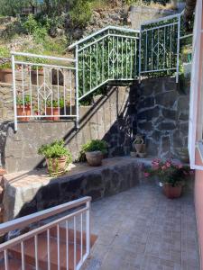 un escalier avec des plantes en pot dans l'établissement B&B Felice, à Maratea