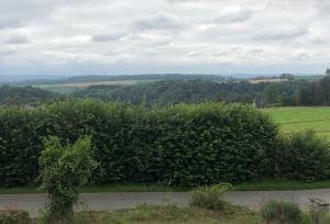 a hedge with flowers on it in a field at Une Maison à la Campagne in Durbuy