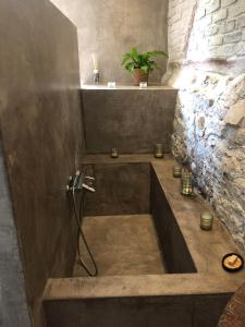 a bathroom with a large tub with a plant in it at Une Maison à la Campagne in Durbuy