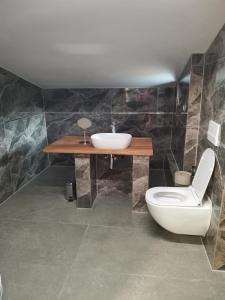 a bathroom with a white toilet and a sink at Chata Bramberk in Lučany nad Nisou