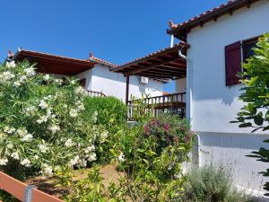 Gallery image of Vakantiehuisje Eione op het eiland Paleo Trikeri in Palaión Trikérion