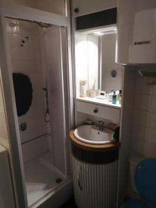 y baño pequeño con lavabo y ducha. en Appartement 2 pièces entièrement rénové, en Villers-sur-Mer