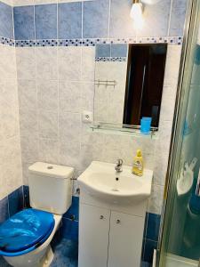 Koupelna v ubytování Alba Apartmany Železná Ruda