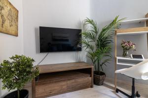 Televízia a/alebo spoločenská miestnosť v ubytovaní Malaga Center Flat - SoHo Center Apartments