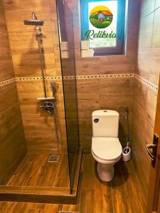 ein Bad mit einem WC und einer Dusche in der Unterkunft Relikvia in Sovata