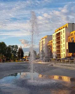 a water fountain in the middle of a street at No.1 Apartment Link-To-Happiness in Klaipėda