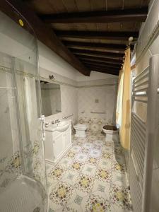 y baño con aseo, lavabo y ducha. en Casa di campagna in collina, en Tatti