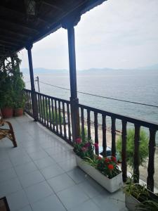 Příroda nedaleko aparthotelu + 13 fotografií