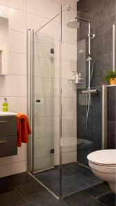 a bathroom with a shower with a glass door at Apartment Hucklehaus in Aich