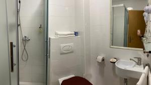 W łazience znajduje się prysznic, toaleta i umywalka. w obiekcie Penzión Encián w Tatrzańskiej Łomnicy