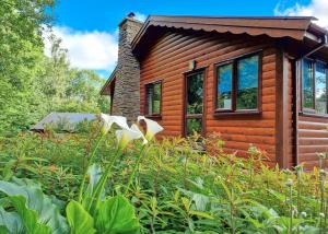 Llanfachreth的住宿－Wnion Wood Lodge with log burner & sauna in Snowdonia，小木屋前方设有花园