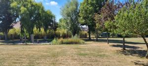 ein Park mit Bäumen und Gras auf einem Feld in der Unterkunft Hotel Westendia in Westende