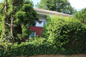 a red house with a window and bushes at Ferienwohnung Zum Rosengarten WEST015 Westerwald in Driedorf