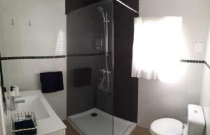 ein Badezimmer mit Dusche und Toilette in der Unterkunft Luisan Guanarteme in Las Palmas de Gran Canaria