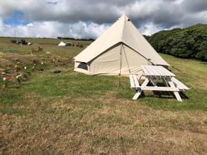 duży biały namiot na polu z ławką w obiekcie Pop up Pembrokeshire w mieście Pembroke