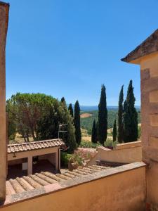 vistas a un parque con un banco y árboles en Agriturismo Il Giovannello en Roccastrada