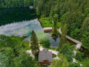 eine Luftansicht eines Hauses am Ufer eines Sees in der Unterkunft Forsthaus Toplitzsee in Gössl