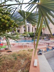 a view of a resort with a pool and a palm tree at 215 addaura luxury room in Palermo