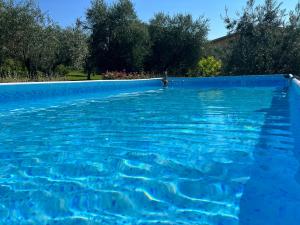 a person swimming in a pool in a swimming pool at CorteViva Boutique B&B in SantʼEgidio