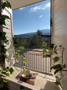 A balcony or terrace at Anastasios Olive Garden Apartments