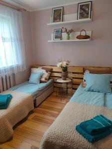 Fotografie z fotogalerie ubytování Apartament delux z tarasem v destinaci Sierpc