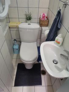 Ванна кімната в Ξενώνας Λήδα