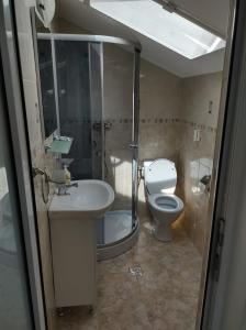 a bathroom with a toilet and a sink and a shower at Casa Jolie in Constanţa +37 photos