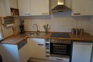 een keuken met een wastafel en een fornuis top oven bij Apartment Germersheim in Germersheim