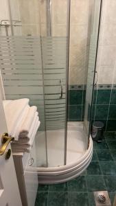 eine Dusche mit Glastür im Bad in der Unterkunft Ibis Apartment in Novi Sad