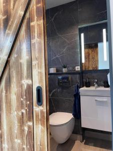uma casa de banho com um WC e um lavatório em Vestmannsvatn Guesthouse em Aðaldalur