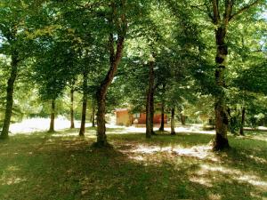 un grupo de árboles en un campo con una casa en el fondo en Chalet en forêt, brame du cerf en Valpuiseaux