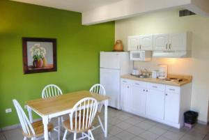 Cucina o angolo cottura di Apart Hotel La Cordillera