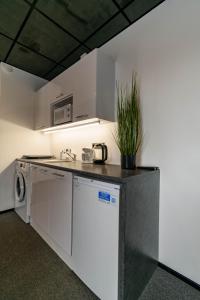 Kuchyň nebo kuchyňský kout v ubytování Apartments24 Ilu