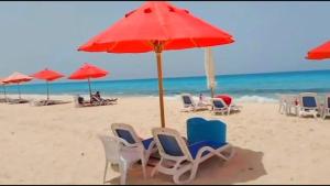 Porto Matruh - Your Family's Peaceful Summer Stay في مرسى مطروح: مجموعة من الكراسي والمظلات على الشاطئ
