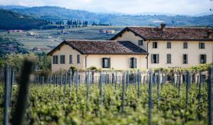 a house in a vineyard behind a fence at Dimora Buglioni Wine Relais in San Pietro in Cariano