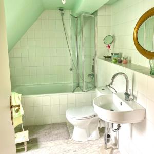uma casa de banho com um WC, um lavatório e um chuveiro em Zauberhafte FeWo im Herzen von Wolfenbüttel em Wolfenbüttel