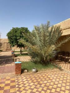 Κήπος έξω από το Gite d étape Khettara Oasis +19 φωτογραφίες
