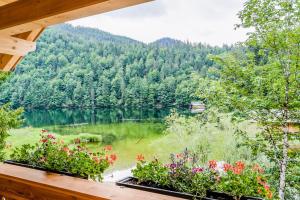 a view of a lake from a porch at Forsthaus Toplitzsee in Gössl