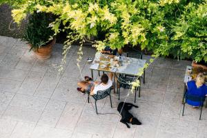 een tafel met een vrouw en een hond bij Dimora Buglioni Wine Relais in San Pietro in Cariano