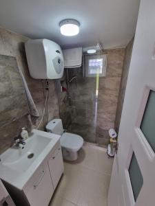 La petite salle de bains est pourvue de toilettes et d'un lavabo. dans l'établissement Casa primitoare in inima naturii si padurii, à Rîşca