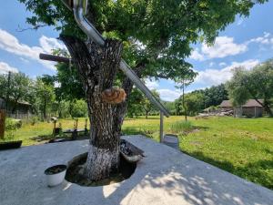 a tree with a cross on the trunk at Casa primitoare in inima naturii si padurii in Rîşca