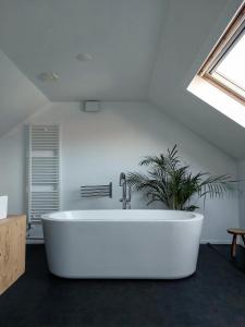 eine große weiße Badewanne in einem Zimmer mit Pflanze in der Unterkunft Hof Aan Zee in Dishoek