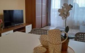 sala de estar con TV y mesa con silla en Apartament z Garażem blisko Lotniska, en Piaseczno